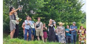 Inovativna učna okolja